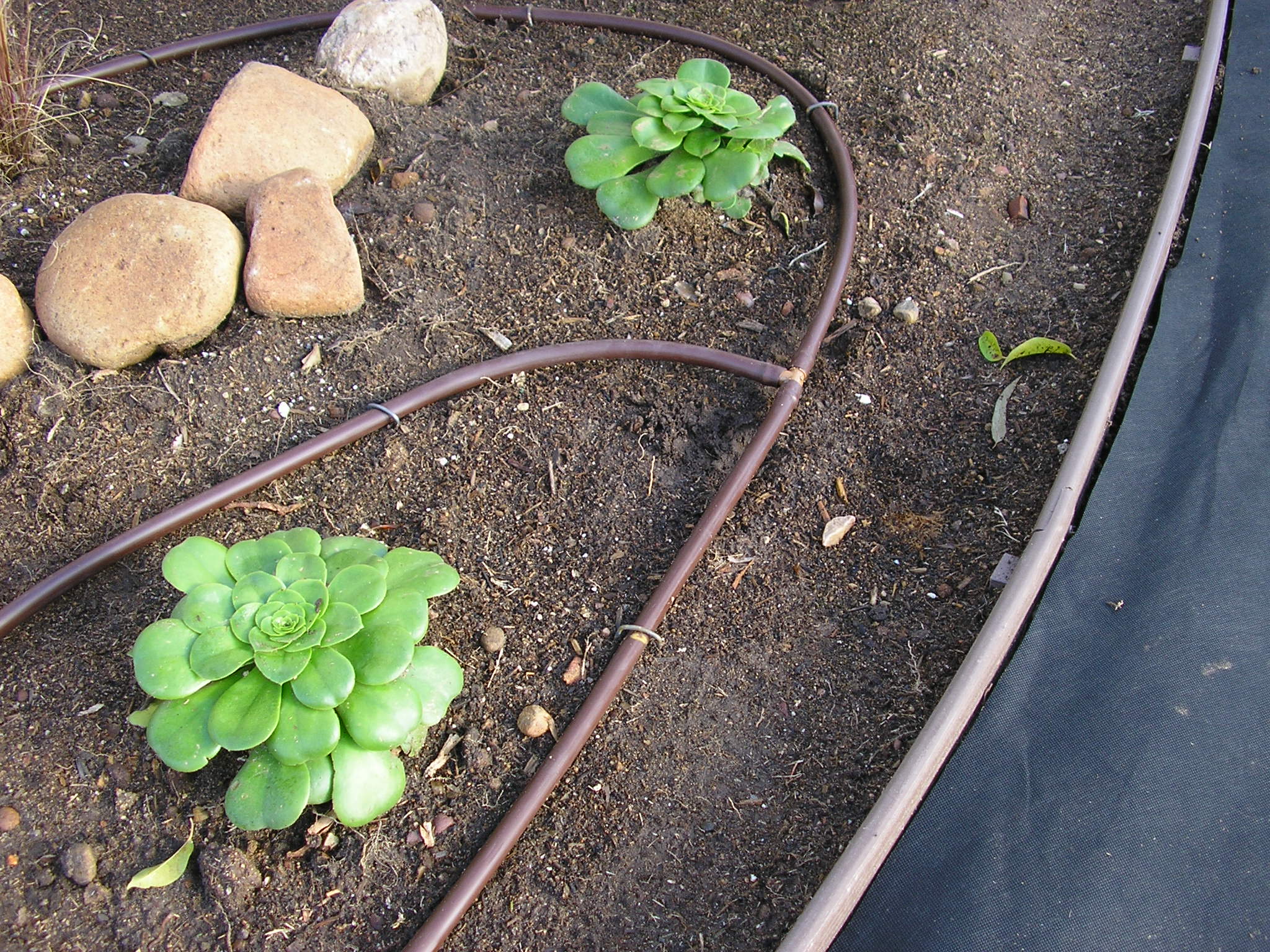 Water Efficient Sprinkler System