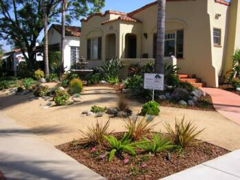 Lawn was replaced with D/G and low watering plants